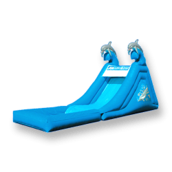 Dolphin Splash Down Water Slide