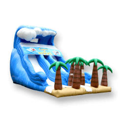 26' Tropical Wave Dual Lane Slide